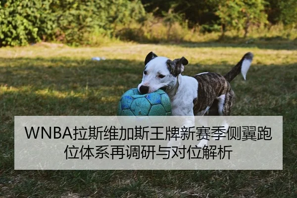 WNBA拉斯维加斯王牌新赛季侧翼跑位体系再调研与对位解析
